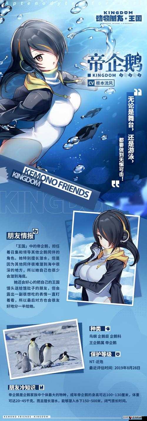 动物朋友王国新手强力角色推荐