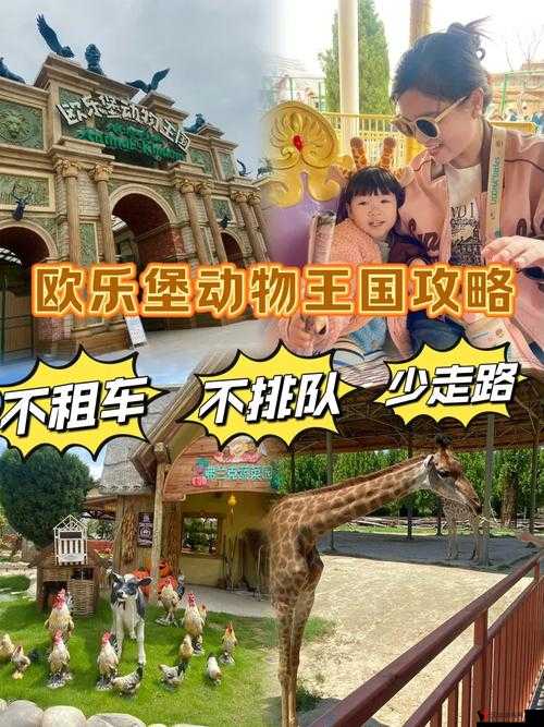 动物朋友王国闪电BOSS打法攻略