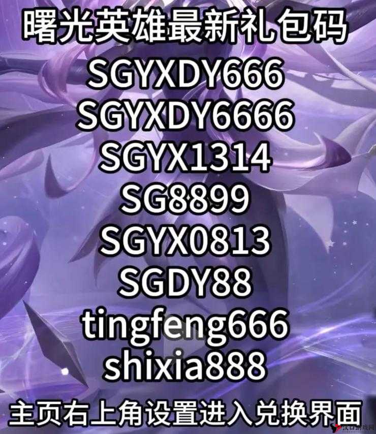 曙光英雄兑换码2022领龙晶,资源管理的艺术与策略