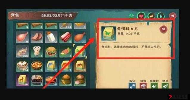 创造与魔法彩壳龟捕捉位置及饲料分享