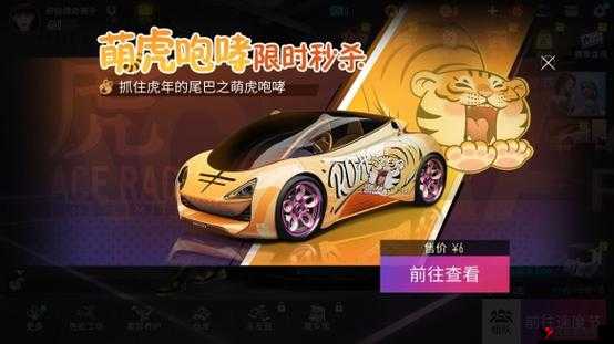 王牌竞速摇尾萌萌虎怎么样,资源管理、技巧与最大化价值