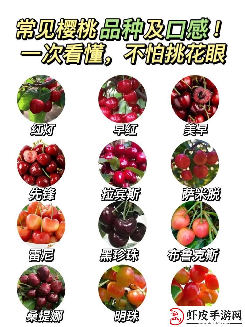 瞧瞧那些“樱冠”科技巨头