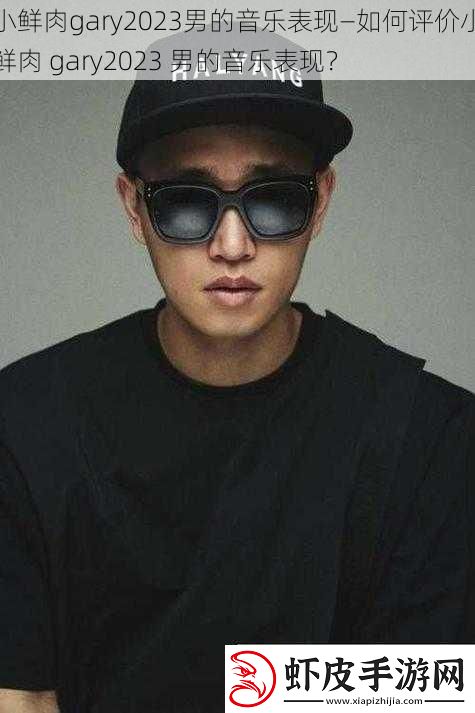 小鲜肉gary2023男的音乐表现—如何评价小鲜肉