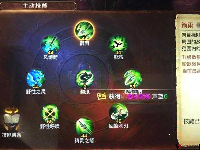 光明大陆巡林客输出最大化,暴击输出手法解析
