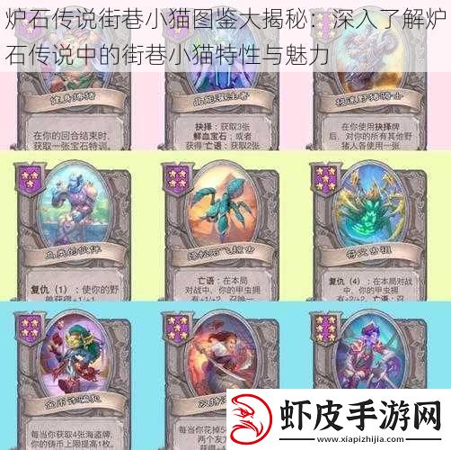 炉石传说街巷小猫图鉴大揭秘