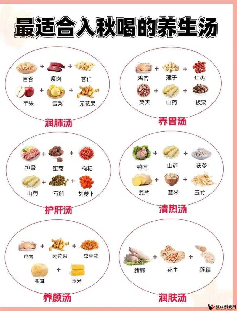 凌云诺药膳配方做法大全