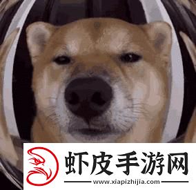 科技圈里的“家常”笑谈