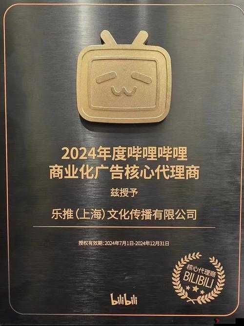 免费b站推广网站2024:一个极具潜力的平台等你来探索