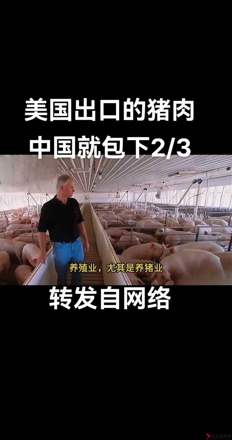 美国人与畜禽合作项目:探索可持续食品生产的创新模式