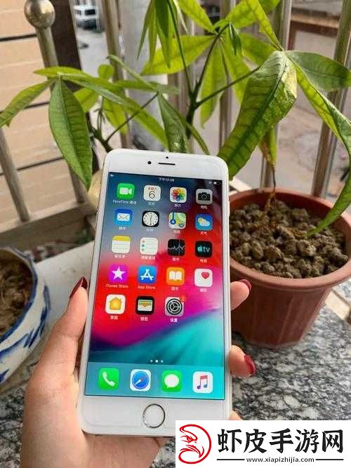 成熟