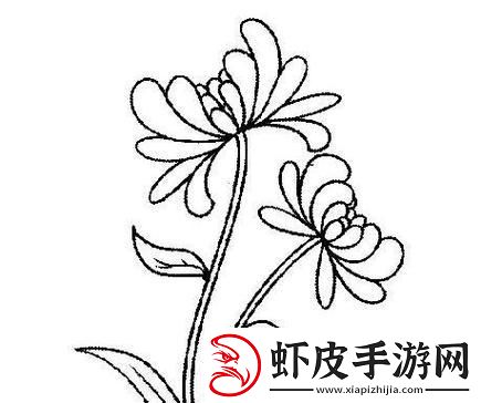 “六年级菊花”塞笔奇谈