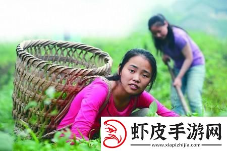 编程奶爸的萌新之路