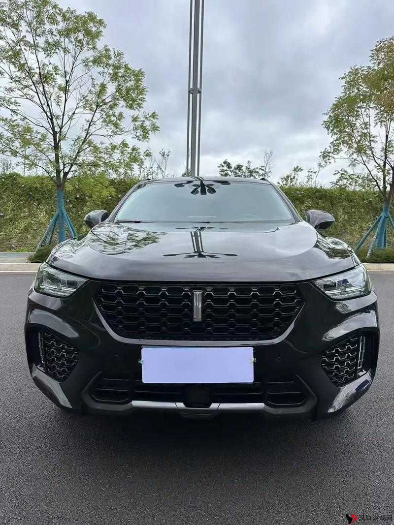 国产 SUV 之 WEY VV5:卓越性能与时尚魅力的完美呈现