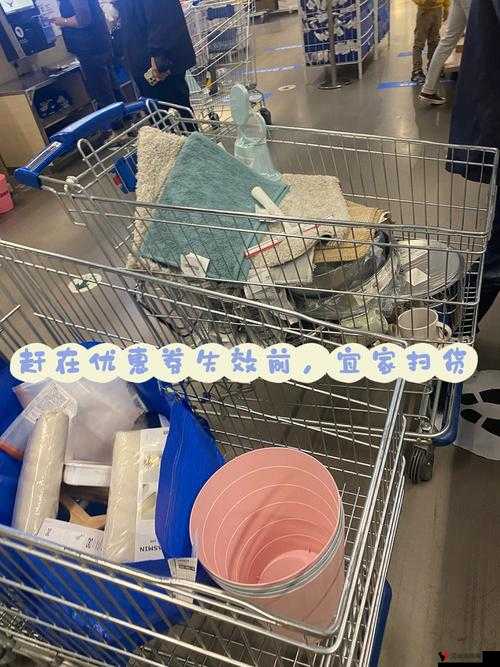 小扫货能么多叫出来——开启精彩购物之旅