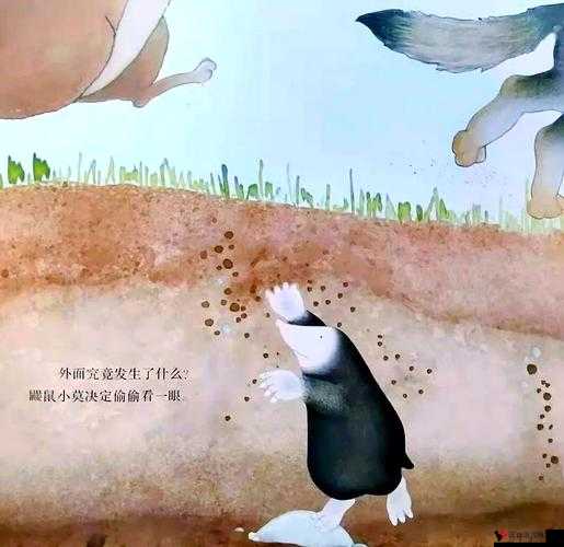 帽子先生大冒险,友情的力量与通关攻略