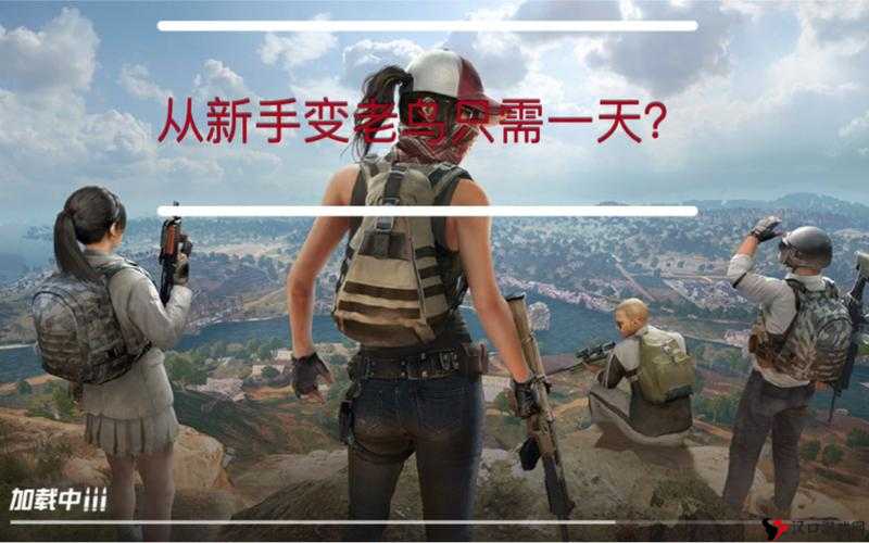 和平精英自救秘籍,从菜鸟到老鸟的华丽蜕变