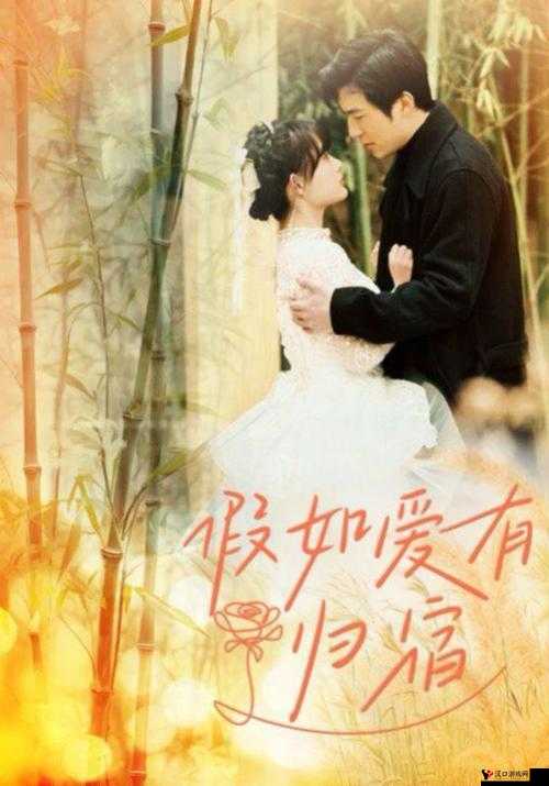 双龙进洞夹心饼干创意:美味与创意的完美融合新体验