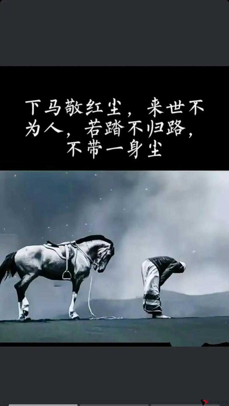 这就是江湖,相马之术,洞悉千里**奥秘