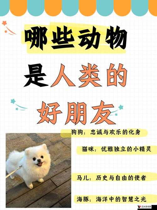 动物朋友王国光辉克制关系及作用解析