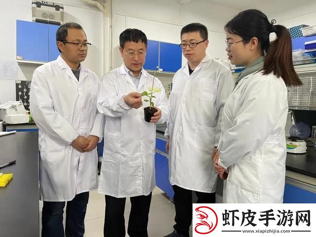 畜牧新篇