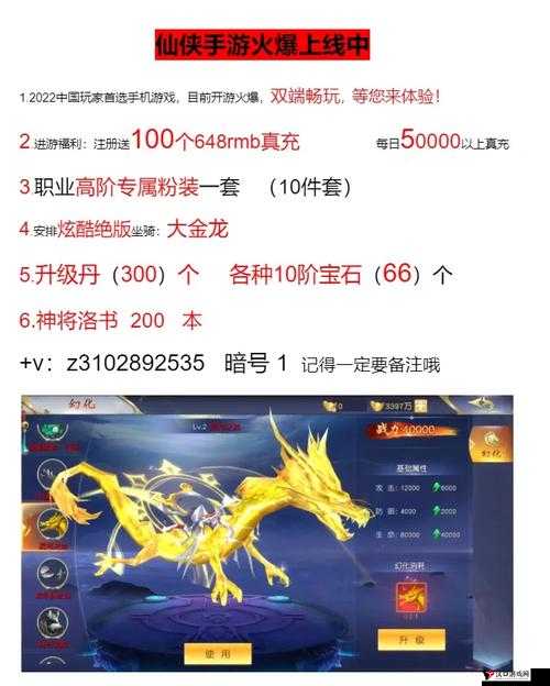 不一样修仙2,解锁宠物培养新姿势,打造你的专属萌宠战队!