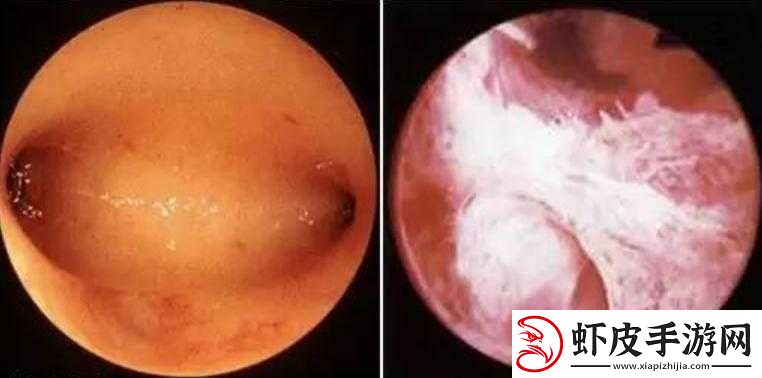 撞击声与黏腻粘连水渍声交织的奇妙情境