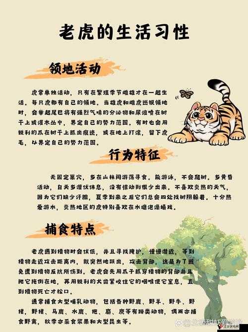幸福路上的火锅店,小老虎的奇妙作用大揭秘