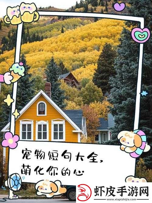重建家园的温馨旅程
