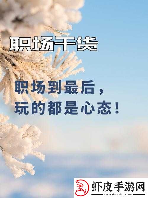 全面解析