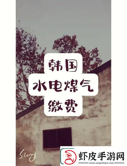 解析好看的韩国三色电费的背后故事与设计灵感
