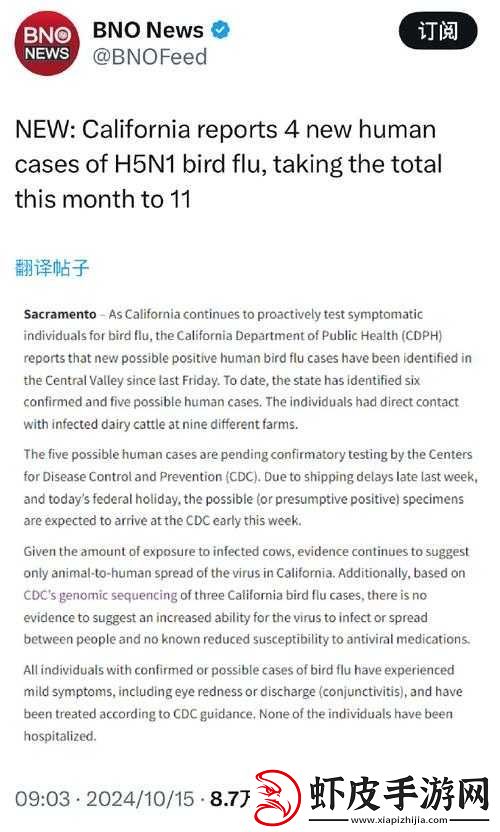 欧美人与禽