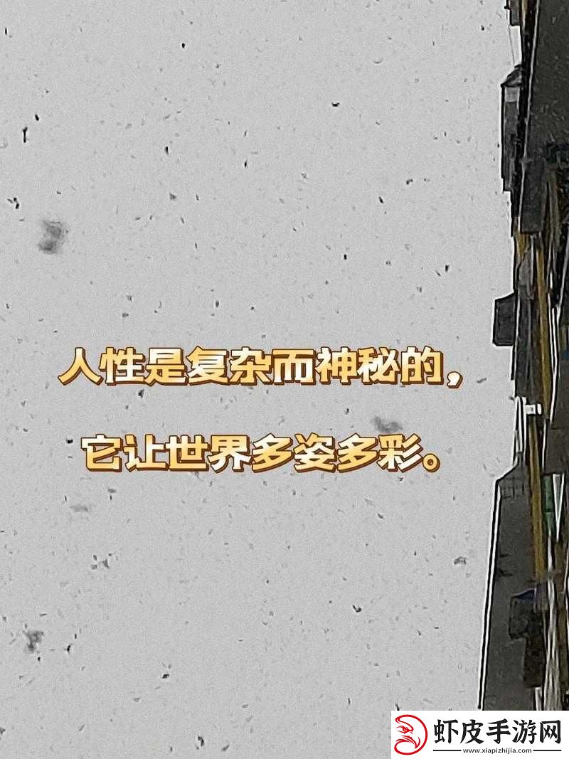 探索****址背后的真实世界与人性奥秘