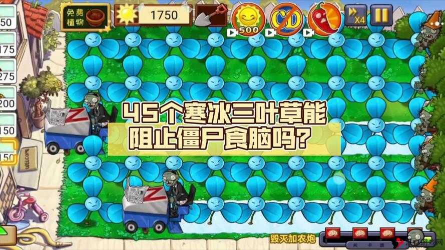 欢乐球吃球三叶草介绍与三叶草泡泡资源管理策略