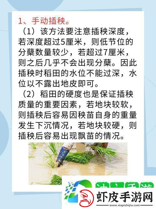 探索“夫妻插秧的38种方法图解大全”中的农耕乐趣