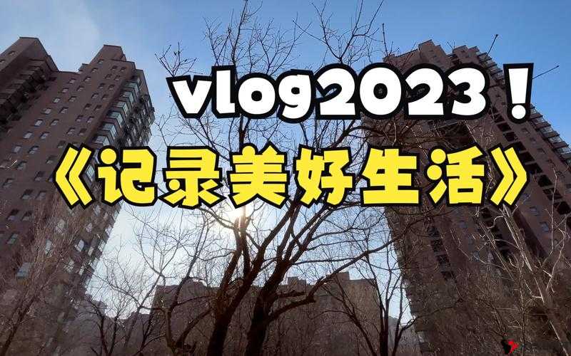 糖心 VLOG 精产国品免费老版题材丰富:记录美好生活点滴