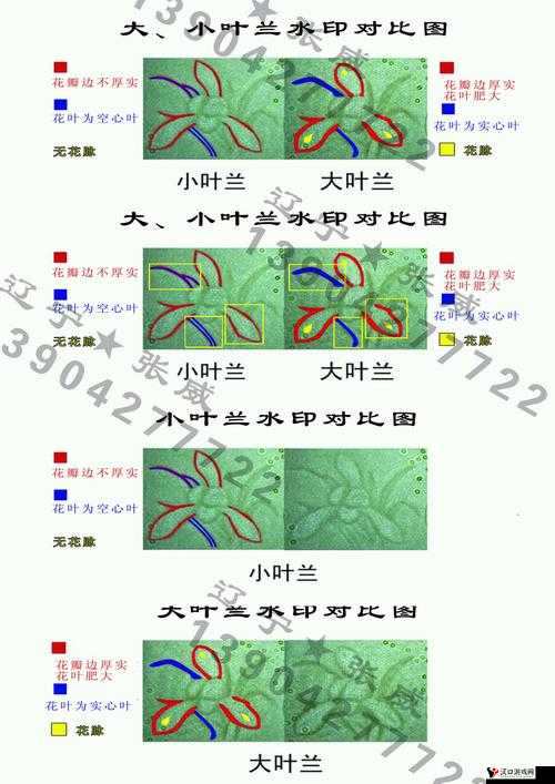 991 精产三产区区别首次亮相详细解读