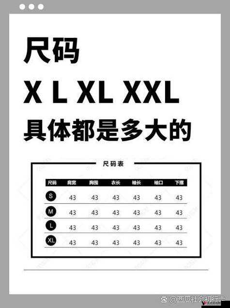 我的上司尺码是 XL：是大码还是 XL 的时尚秘密？