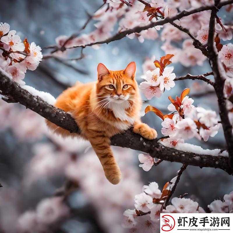 深度解析