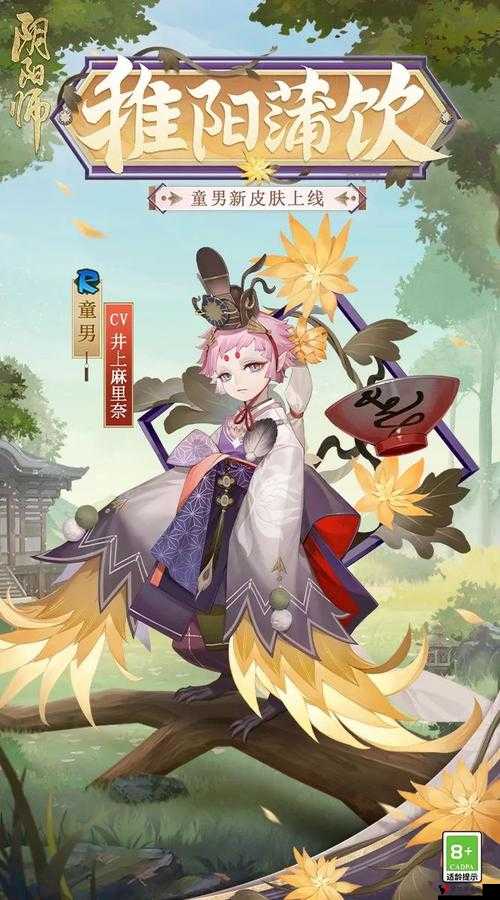 阴阳师童男信物揭秘,图片汇总与深度解析