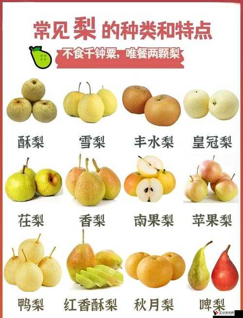 哪种梨有梨中皇后之称:探寻其独特魅力与卓越品质