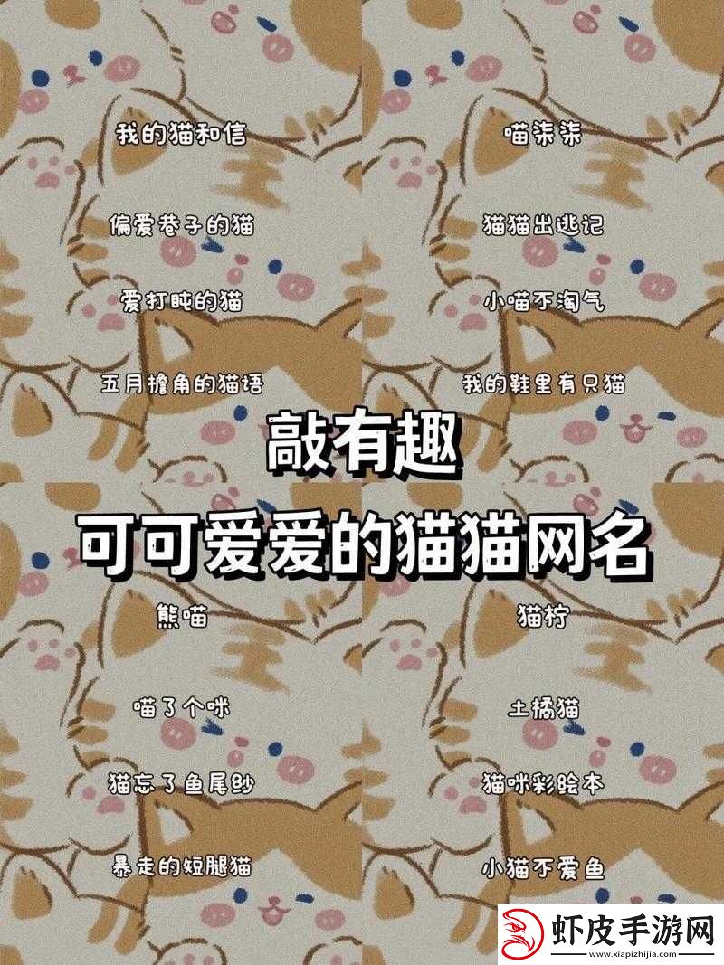 新版猫咪地域名推荐大全