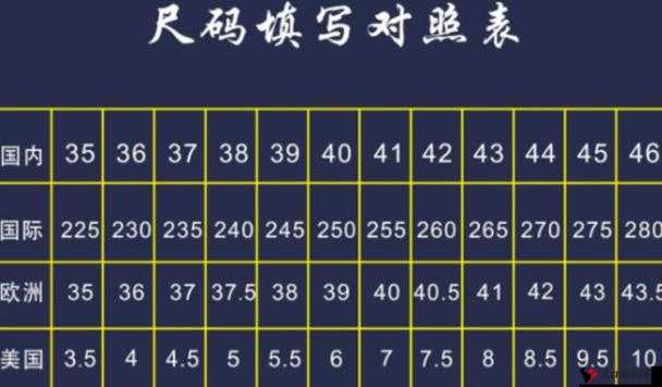 国产尺码与欧洲尺码的适用场景对比及差异分析在不同领域的体现