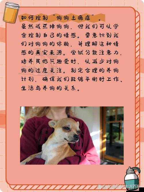 狗狗让我上瘾戒不掉怎么办:这可真是个大难题该如何解决