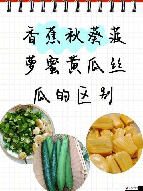 香蕉菠萝水蜜桃黄瓜丝瓜秋葵:带你走进缤纷蔬果世界