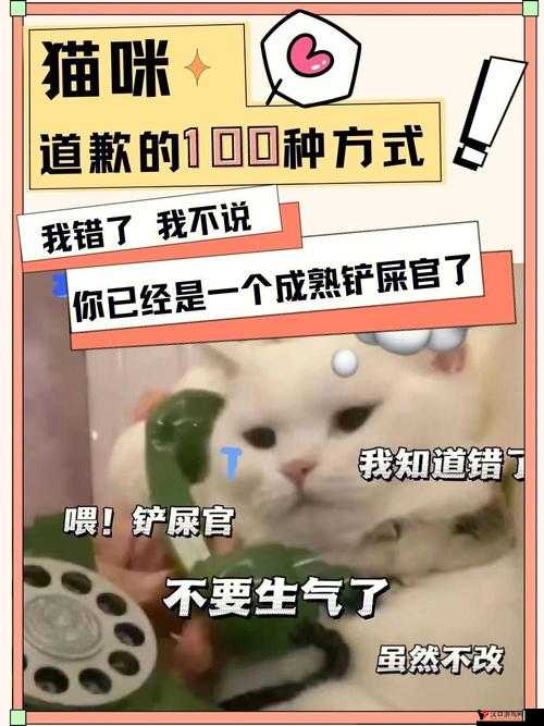 主人我错了请把它关掉好吗:我真的知道错了以后不会再犯了