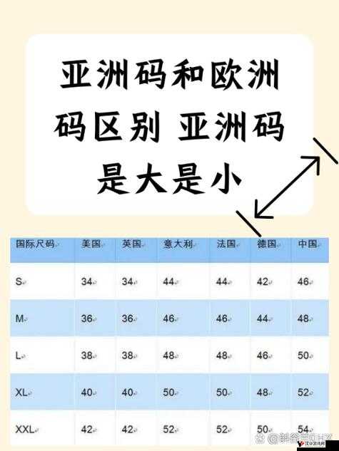 亚洲码和欧洲码一码二码三码,你真的了解吗?