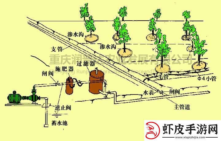 苏软软的灌溉奇遇