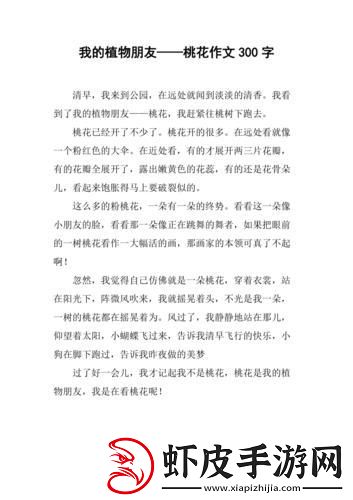 “我的桃花六少”狂想曲