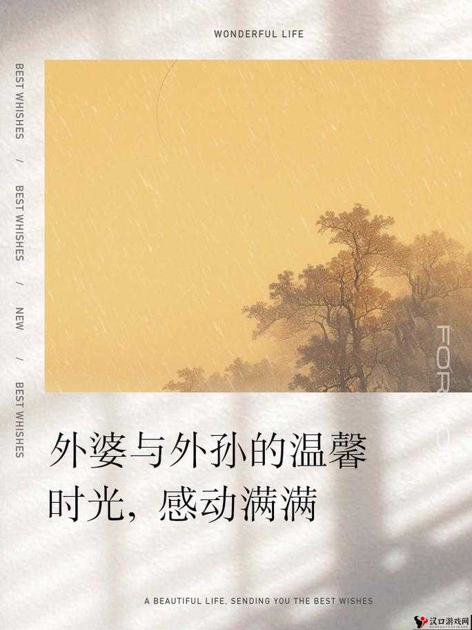 ばあちゃん外婆视频:关于外婆的温馨故事与珍贵瞬间