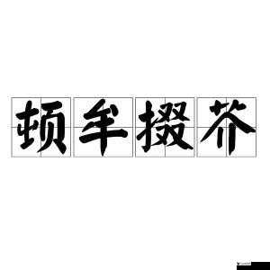 欧美掇 BBBBB 掇 BBBBB:探索其背后的深层奥秘与文化影响